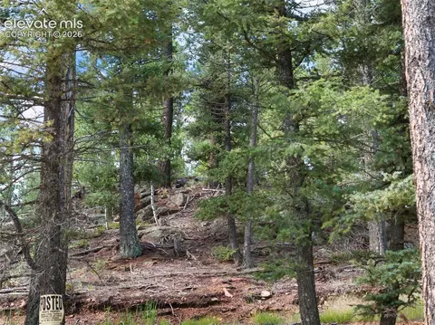 422 Spring Valley Dr, Divide, CO 80814 photo 12