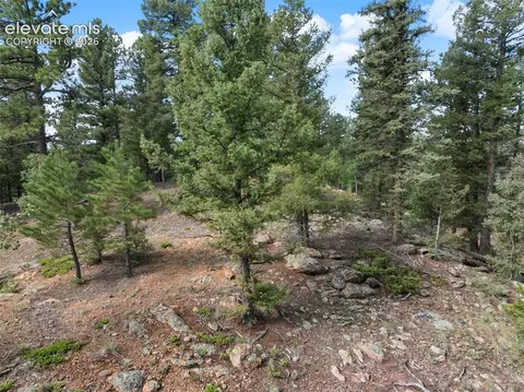 422 Spring Valley Dr, Divide, CO 80814 photo 20
