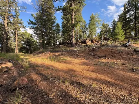 422 Spring Valley Dr, Divide, CO 80814 photo 28