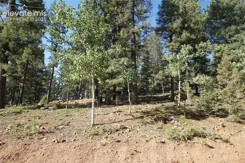 422 Spring Valley Dr, Divide, CO 80814 photo 4