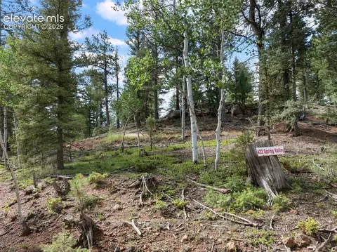 422 Spring Valley Dr, Divide, CO 80814 photo 6