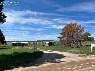 10538 County Line Rd, Peyton, CO 80831 photo 7