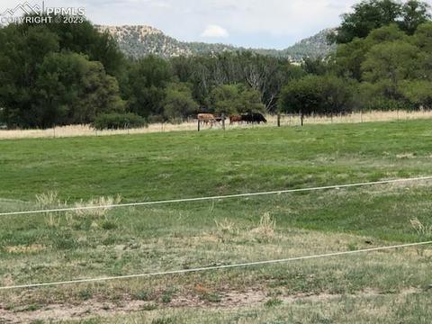 10538 County Line Rd, Peyton, CO 80831 photo 9