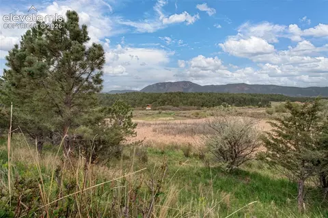 Other - 367 Raspberry Ln, Monument, CO 80132 photo 10 of 10