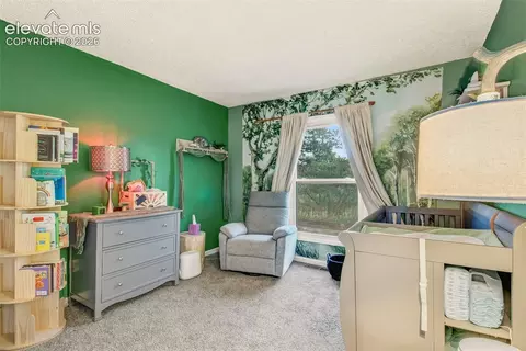 Bedroom - 367 Raspberry Ln, Monument, CO 80132 photo 3 of 5