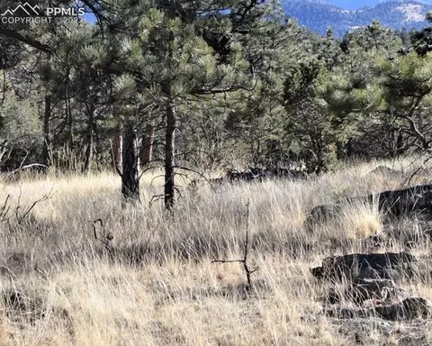 1149 Arapahoe Dr, Florissant, CO 80816