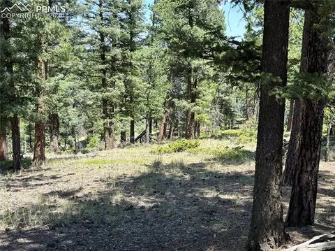 337 Insmont Ln, Florissant, CO 80816