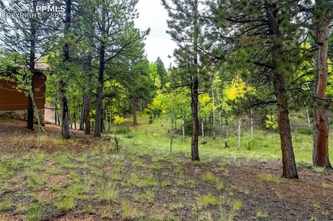 137 Lake Cir, Divide, CO 80814 photo 42