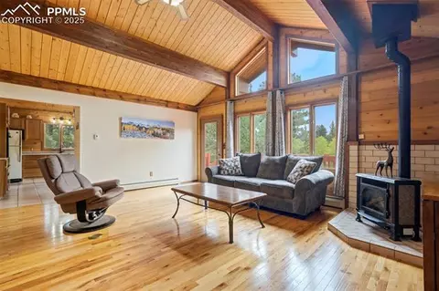 137 Lake Cir, Divide, CO 80814 photo 15