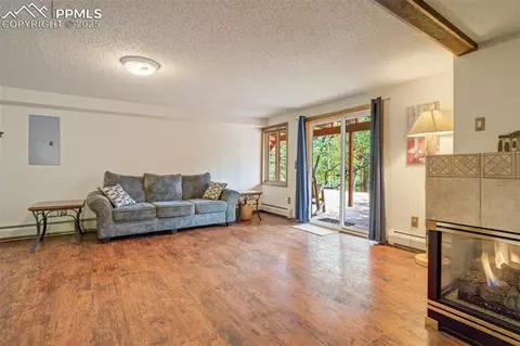 137 Lake Cir, Divide, CO 80814 photo 31