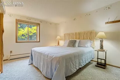 137 Lake Cir, Divide, CO 80814 photo 33