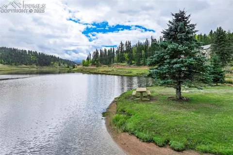 137 Lake Cir, Divide, CO 80814 photo 47