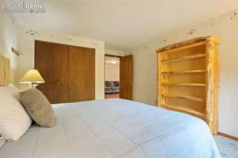 137 Lake Cir, Divide, CO 80814 photo 34