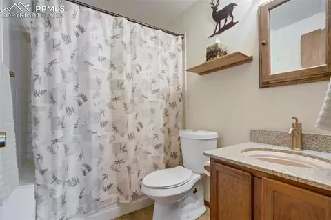 137 Lake Cir, Divide, CO 80814 photo 35