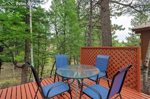137 Lake Cir, Divide, CO 80814 photo 41