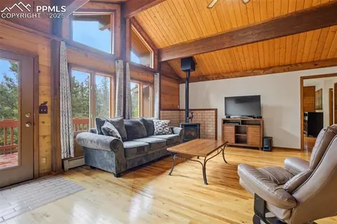 137 Lake Cir, Divide, CO 80814 photo 13