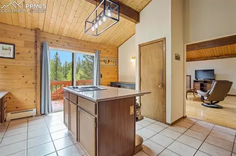 137 Lake Cir, Divide, CO 80814 photo 22