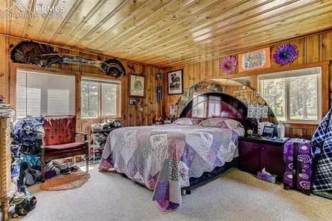 8221 Green Tower Ln, Rye, CO 81069 photo 18