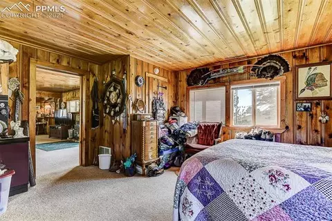 8221 Green Tower Ln, Rye, CO 81069 photo 19