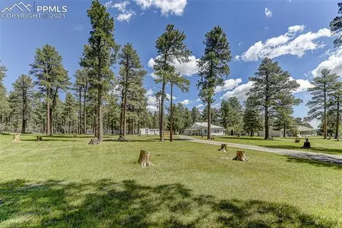 8221 Green Tower Ln, Rye, CO 81069 photo 8