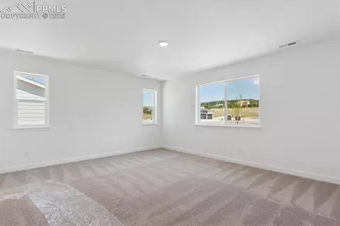 16981 Starfall Dr, Monument, CO 80132 photo 10