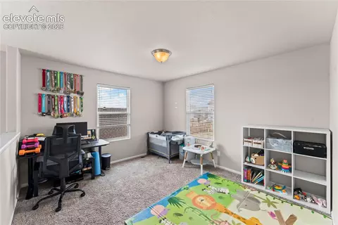 10054 Exeter Trl, Peyton, CO 80831 photo 29