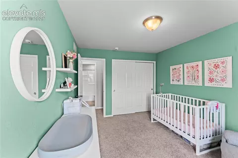10054 Exeter Trl, Peyton, CO 80831 photo 26