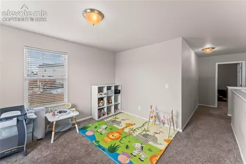 10054 Exeter Trl, Peyton, CO 80831 photo 30