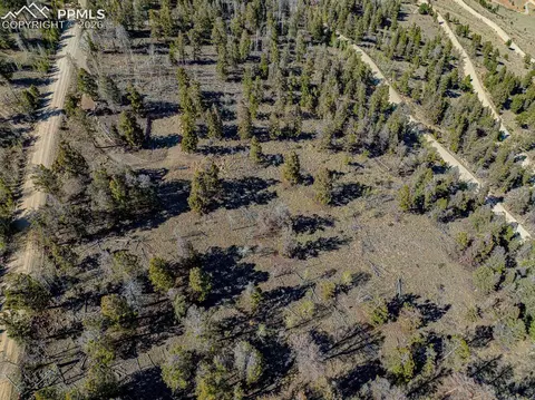 5302 Middle Fork Vis, Fairplay, CO 80440