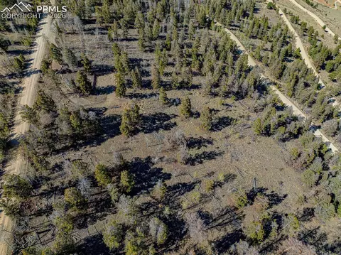 5302 Middle Fork Vis, Fairplay, CO 80440