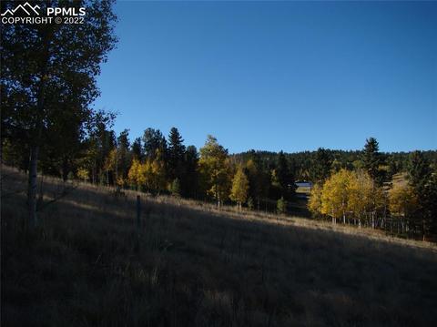 241 Minstrel Dr, Divide, CO 80814 photo 4