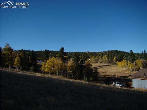 241 Minstrel Dr, Divide, CO 80814 photo 3