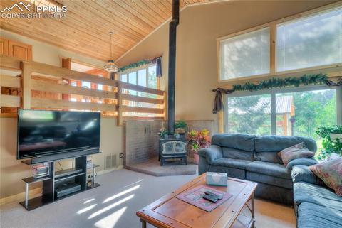 470 Highroad Dr, Divide, CO 80814 photo 4
