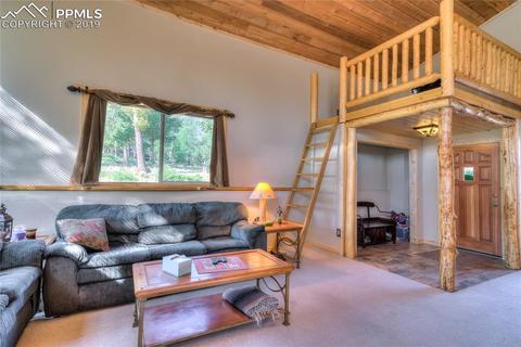 470 Highroad Dr, Divide, CO 80814 photo 6