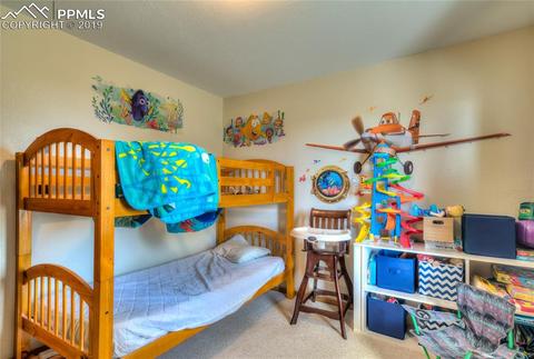 470 Highroad Dr, Divide, CO 80814 photo 18