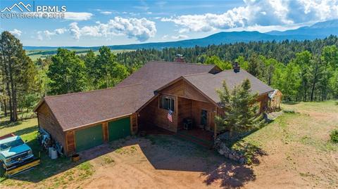 470 Highroad Dr, Divide, CO 80814 photo 34