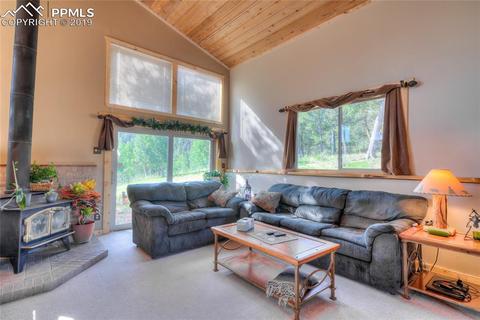 470 Highroad Dr, Divide, CO 80814 photo 5