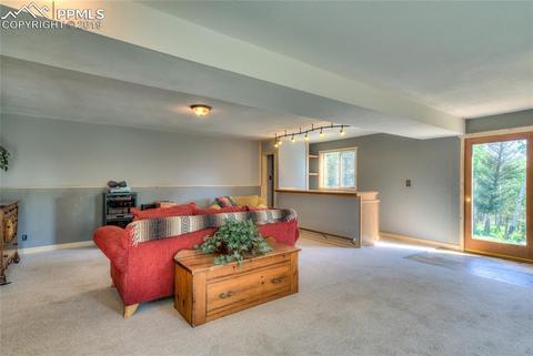 470 Highroad Dr, Divide, CO 80814 photo 23