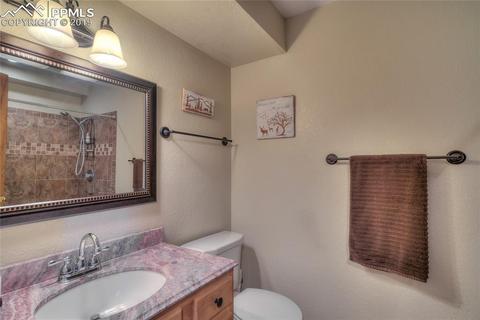 470 Highroad Dr, Divide, CO 80814 photo 19
