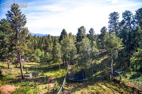 396 Ridge Rd, Divide, CO 80814 photo 9