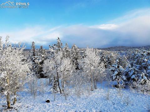 154 Sunset Dr, Bailey, CO 80421 photo 39