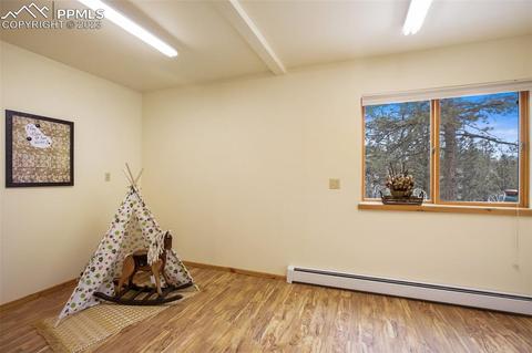 265 Broken Wheel Dr, Divide, CO 80814 photo 29