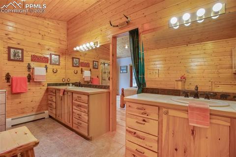 265 Broken Wheel Dr, Divide, CO 80814 photo 14