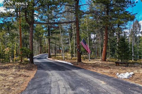 265 Broken Wheel Dr, Divide, CO 80814 photo 41
