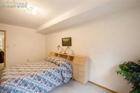 265 Broken Wheel Dr, Divide, CO 80814 photo 28