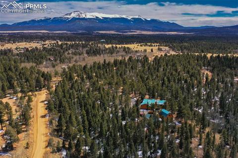 265 Broken Wheel Dr, Divide, CO 80814 photo 42