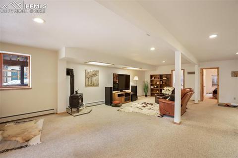 265 Broken Wheel Dr, Divide, CO 80814 photo 23
