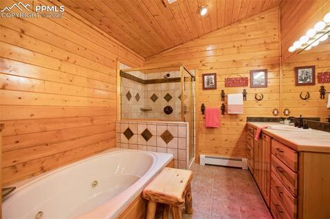 265 Broken Wheel Dr, Divide, CO 80814 photo 15