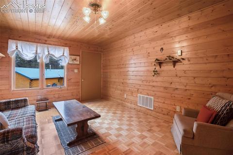 265 Broken Wheel Dr, Divide, CO 80814 photo 33
