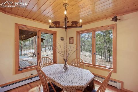 265 Broken Wheel Dr, Divide, CO 80814 photo 7